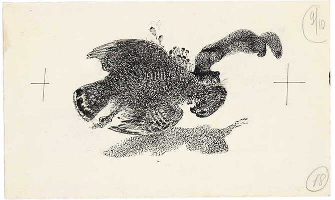 Курдов Валентин Иванович. Лот из двух иллюстраций к кн.: Бианки В. Собрание